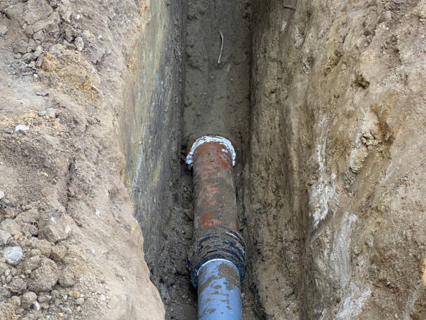 Best Flood restoration services  in Trenton, TN