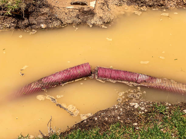 Best Carpet water damage restoration  in Trenton, TN