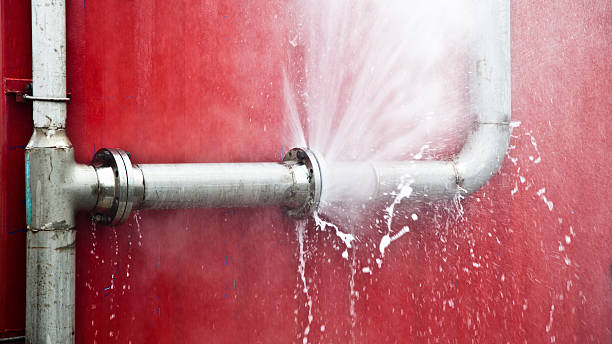  Trenton, TN Water damage restoration Pros